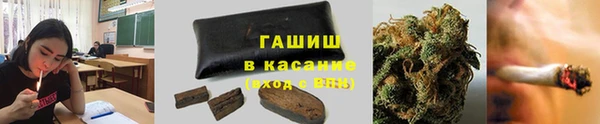 прущие грибы Анива