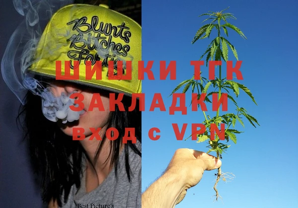 прущие грибы Анива