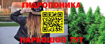 метадон Кингисепп