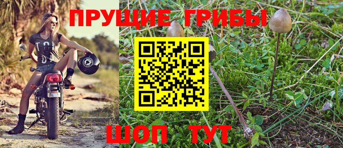 Галлюциногенные грибы ЛСД Кудрово