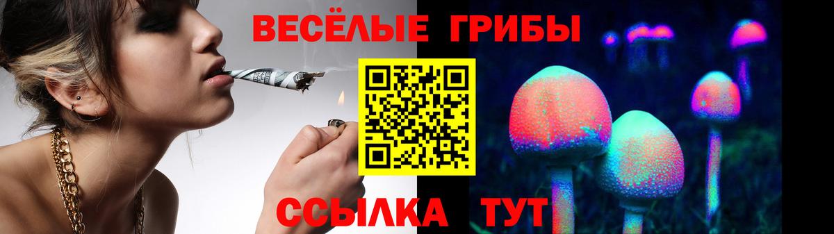 Кудрово  Галлюциногенные грибы мицелий  Вход с VPN  Галлюциногенные грибы Psilocybe 